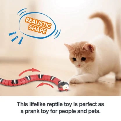 Zigzo | Smart Snake Toy