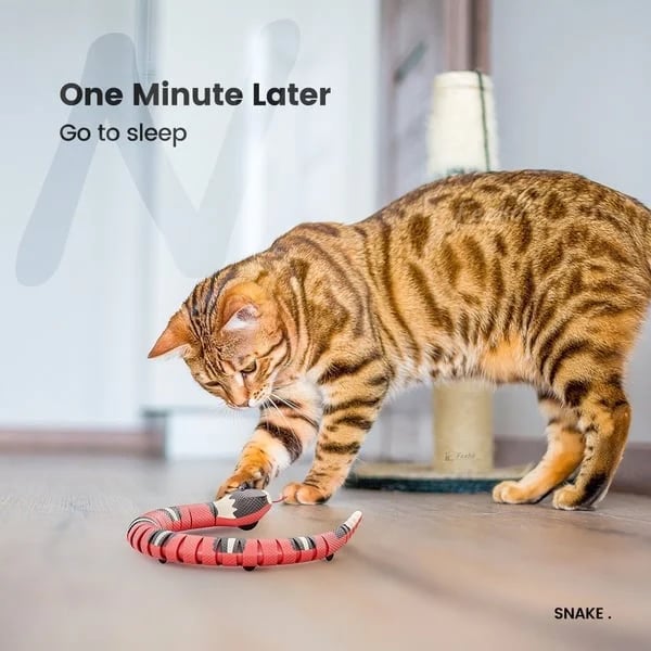 Zigzo | Smart Snake Toy
