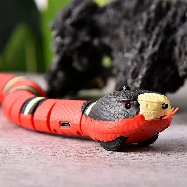 Zigzo | Smart Snake Toy