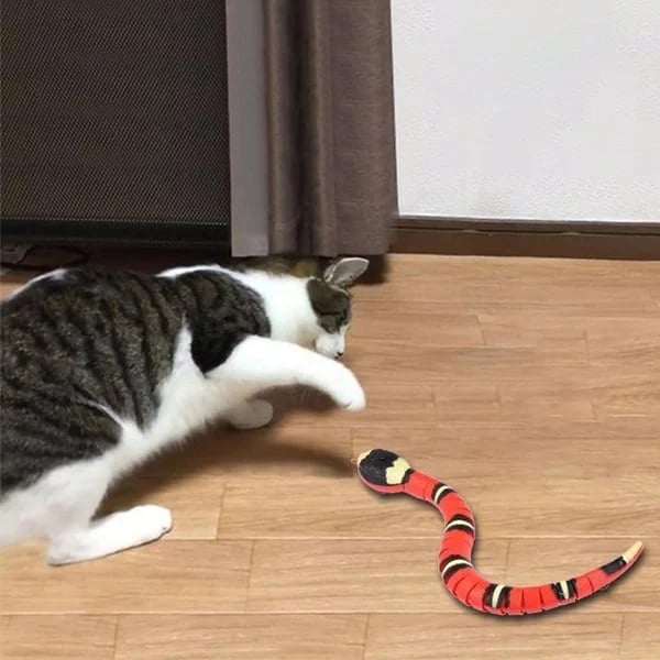 Zigzo | Smart Snake Toy