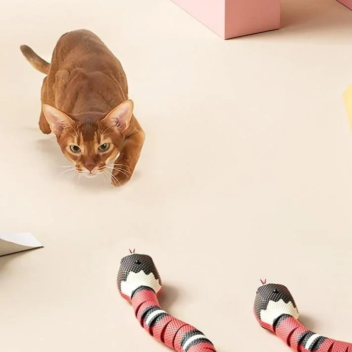 Zigzo | Smart Snake Toy