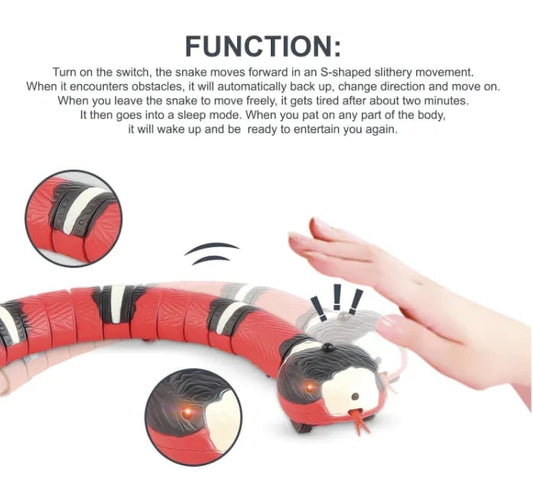 Zigzo | Smart Snake Toy